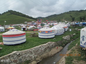 關(guān)山牧場的夏日牧歌